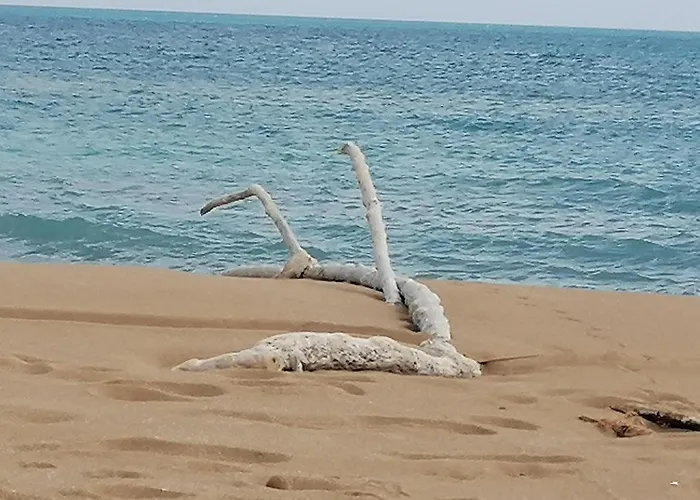 Ca' Libellula Casa *