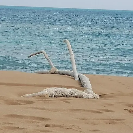 Ca' Libellula Casa *